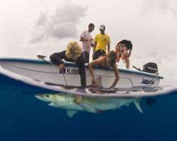 One may also go on a shark lab tour at the Bimini One may also go on a shark lab tour at the Bimini Biological Field Station Foundation. It aims to raise awareness of heavily impacted marine animals,
